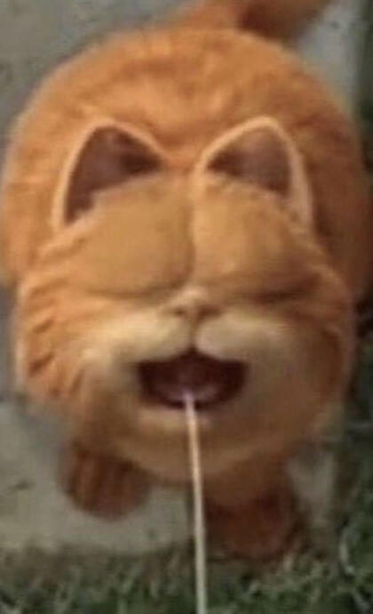hi